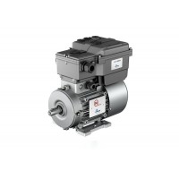 Motor inversor Drivon