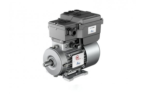 Motor inversor Drivon